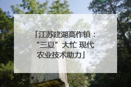 江苏建湖高作镇：“三夏”大忙 现代农业技术助力