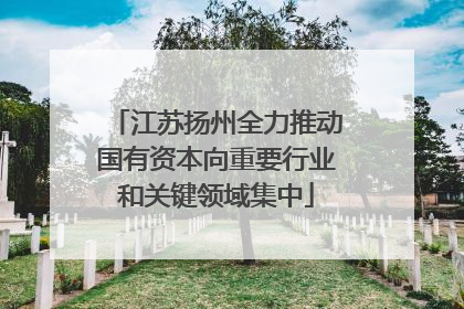 江苏扬州全力推动国有资本向重要行业和关键领域集中