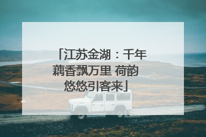 江苏金湖：千年藕香飘万里 荷韵悠悠引客来