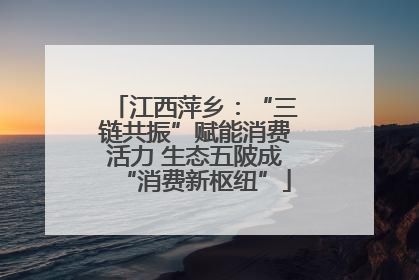 江西萍乡：“三链共振”赋能消费活力 生态五陂成“消费新枢纽”