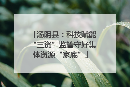 汤阴县：科技赋能“三资”监管守好集体资源“家底”