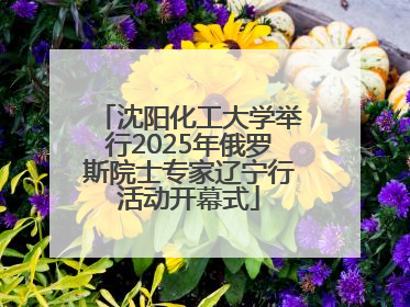 沈阳化工大学举行2025年俄罗斯院士专家辽宁行活动开幕式