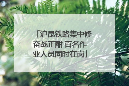 沪昆铁路集中修奋战正酣 百名作业人员同时在岗
