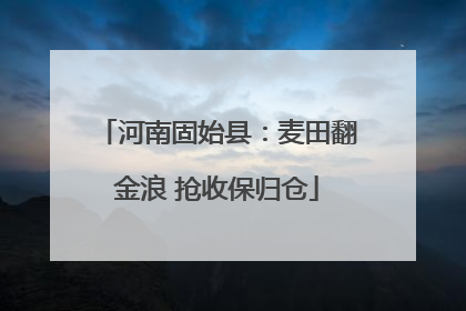 河南固始县：麦田翻金浪 抢收保归仓