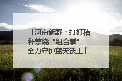 河南新野：打好秸秆禁烧“组合拳” 全力守护蓝天沃土