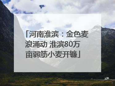 河南淮滨：金色麦浪涌动 淮滨80万亩弱筋小麦开镰