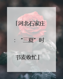 河北石家庄：“三夏”时节麦收忙