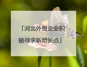 河北外贸企业积极寻求新增长点