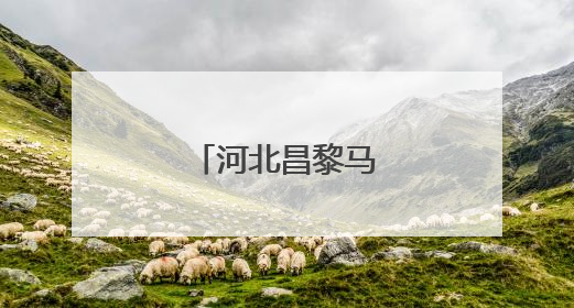河北昌黎马铃薯收获忙