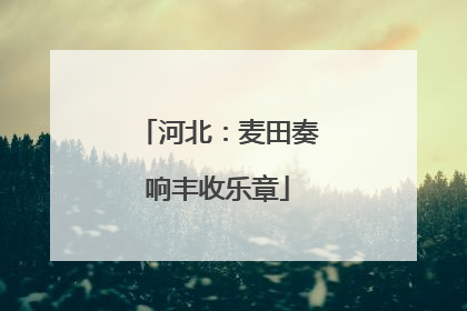 河北：麦田奏响丰收乐章