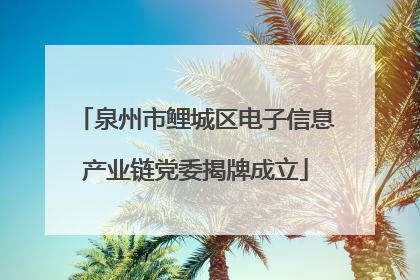 泉州市鲤城区电子信息产业链党委揭牌成立
