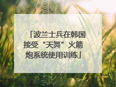 波兰士兵在韩国接受“天舞”火箭炮系统使用训练