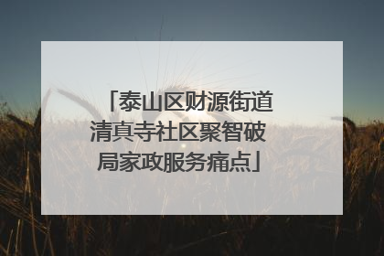 泰山区财源街道清真寺社区聚智破局家政服务痛点