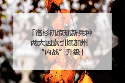 洛杉矶惊现新兵种 两大因素引爆加州“内战”升级