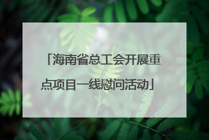 海南省总工会开展重点项目一线慰问活动