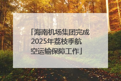 海南机场集团完成2025年荔枝季航空运输保障工作