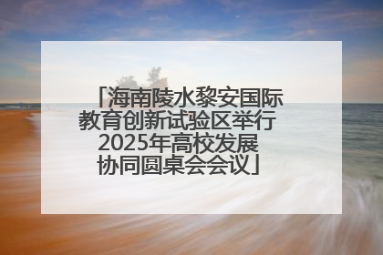 海南陵水黎安国际教育创新试验区举行2025年高校发展协同圆桌会会议
