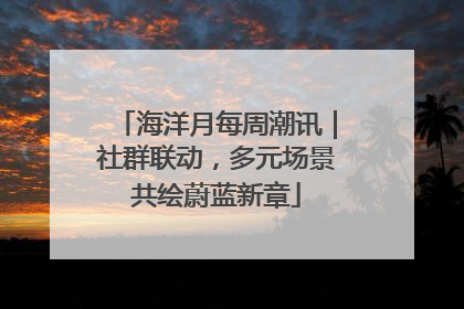 海洋月每周潮讯｜社群联动，多元场景共绘蔚蓝新章