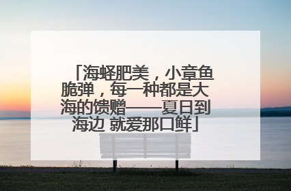 海蛏肥美，小章鱼脆弹，每一种都是大海的馈赠——夏日到海边 就爱那口鲜