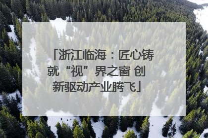 浙江临海：匠心铸就“视”界之窗 创新驱动产业腾飞