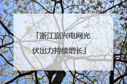 浙江嘉兴电网光伏出力持续增长