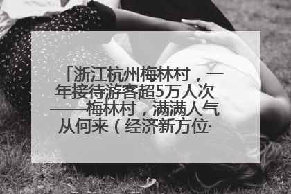 浙江杭州梅林村，一年接待游客超5万人次——梅林村，满满人气从何来（经济新方位·农村消费观察）