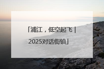 浦江，低空起飞｜2025对话街镇