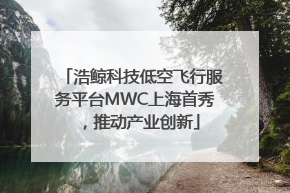 浩鲸科技低空飞行服务平台MWC上海首秀，推动产业创新
