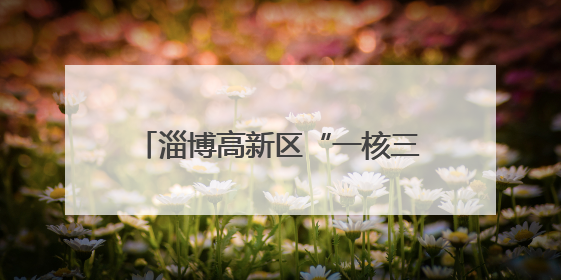 淄博高新区“一核三维三层”教学研讨会在高新区第四小学举行