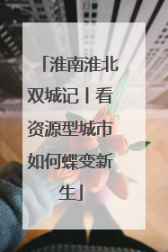 淮南淮北双城记丨看资源型城市如何蝶变新生