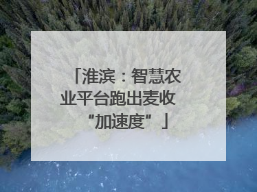 淮滨：智慧农业平台跑出麦收“加速度”