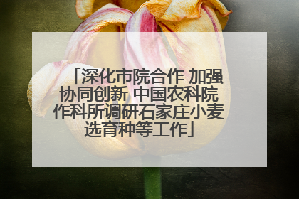 深化市院合作 加强协同创新 中国农科院作科所调研石家庄小麦选育种等工作