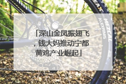深山金凤振翅飞，钱大妈推动宁都黄鸡产业崛起