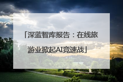 深蓝智库报告：在线旅游业掀起AI竞速战