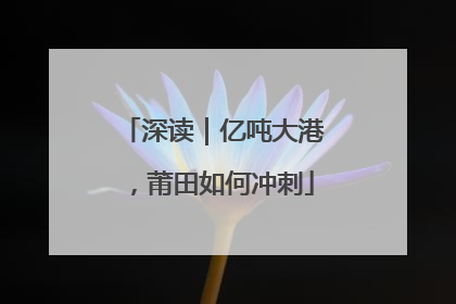 深读｜亿吨大港，莆田如何冲刺
