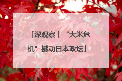 深观察丨“大米危机”撼动日本政坛