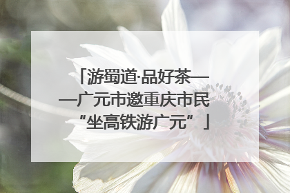游蜀道·品好茶——广元市邀重庆市民“坐高铁游广元”