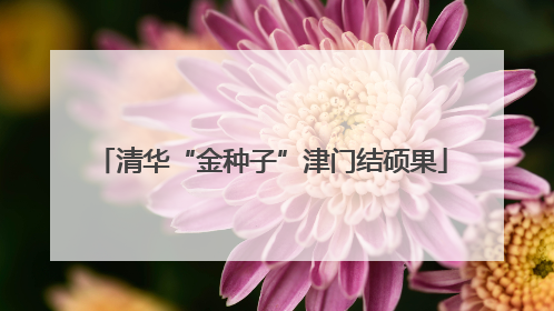 清华“金种子”津门结硕果