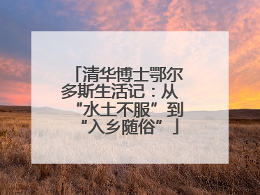清华博士鄂尔多斯生活记：从“水土不服”到“入乡随俗”