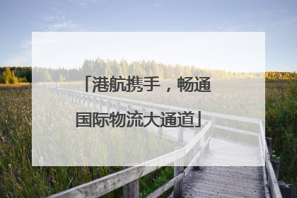 港航携手，畅通国际物流大通道