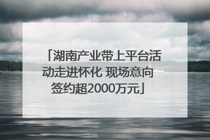 湖南产业带上平台活动走进怀化 现场意向签约超2000万元