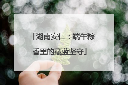 湖南安仁：端午粽香里的藏蓝坚守