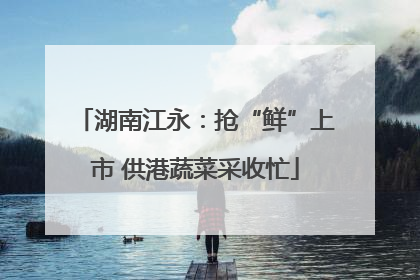 湖南江永：抢“鲜”上市 供港蔬菜采收忙