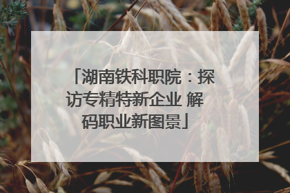 湖南铁科职院：探访专精特新企业 解码职业新图景
