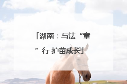 湖南：与法“童”行 护苗成长