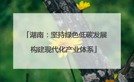 湖南：坚持绿色低碳发展 构建现代化产业体系