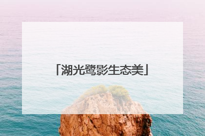 湖光鹭影生态美