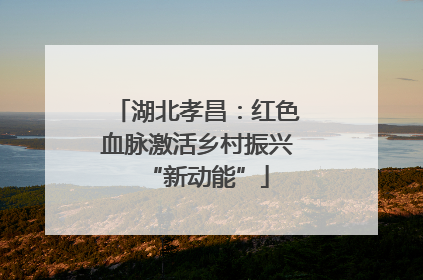 湖北孝昌：红色血脉激活乡村振兴“新动能”