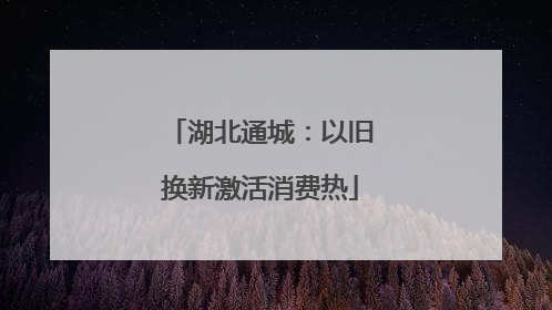 湖北通城：以旧换新激活消费热