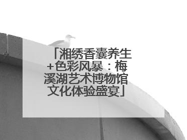 湘绣香囊养生+色彩风暴：梅溪湖艺术博物馆文化体验盛宴